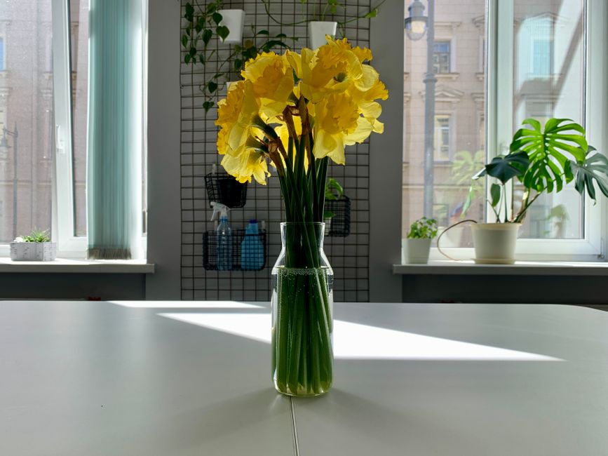 A tall, clear glass vase containing a bouquet of bright yellow daffodils with green stems and leaves, placed on a white table in a well-lit room. Behind the vase is a window with sheer white curtains,