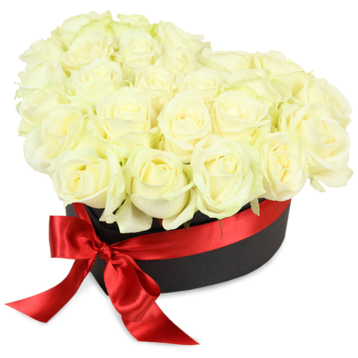Gracefully abundant, this heart-shaped arrangement of white roses captures the contemporary spirit of Finsbury while paying homage to timeless floral artistry. Dozens of creamy roses spill upwards from a deep matte black hatbox, their petals-ranging from tightly closed to softly unfurled-exhibiting shades of ivory highlighted by subtle flashes of pale green. The carefully constructed dome creates a sense of lavishness, reminiscent of celebratory evenings along Rosebery Avenue or quiet, heartfelt moments in Finsbury's characterful gardens. Winding around the lower rim of the box, a high-gloss red satin ribbon glows with a passionate sheen, cinched in a perfectly crafted bow with ends that sweep forward, drawing the eye and the heart together in a seamless gesture. Illuminated by bright, even light, this arrangement sits alone against a clear white expanse-its textures, contrasts, and intricacies revealed without distraction, inviting reflection and admiration. Suitable for commemorative occasions from wedding receptions in local Finsbury venues to thoughtful expressions on Mother's Day or of sympathy, this luxury floral box delivers both emotional gravity and elevated beauty. The design reflects the knowledge and care of expert Finsbury florists, ensuring every client receives a work of art that endures in memory long after the last petal falls.