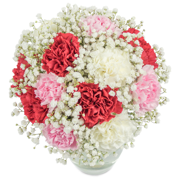 A display that captures the spirit of Finsbury-full of colour, depth, and quiet sophistication. This bouquet, gathered by expert local hands, features luxuriant carnations in vivid red, gentle pink, and creamy white, each boasting abundant ruffles that create a plush, textured surface. Scattered throughout, clouds of pure white baby's breath add grace and lightness, recalling the tranquil lawns of Spa Fields nearby. The symmetrically domed arrangement is staged in a spotlessly clear glass vase, both modern and timeless, its transparency revealing the tangle of fresh stems and hinting at the bouquet's life-giving water. Photographed in soft, even light and set proudly before a crisp white backdrop, each petal's colour and form is rendered with exceptional clarity. This bouquet brings a sense of celebration and sincerity wound into every fold-be it for a birthday, anniversary, or simply to brighten a home on Amwell Street. It's a local favourite for good reason, embodying the joy and enduring beauty that Finsbury Flowers brings to the community.