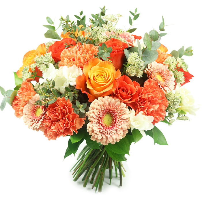 A luxurious, bountiful hand-tied bouquet is photographed upright on a pristine white field, its warm palette of oranges, peaches and hints of golden yellow taking centre stage. Several prominent roses - some unfurling in full, spiralled form, others kept in tighter bud for depth - anchor the composition with a rich, velvety presence. Around them the arrangement is filled with multi-layered carnations in burnt orange and coral, their ruffled petals creating a sumptuous, textural backdrop, while soft peach gerbera daisies add open, radial shapes and gentle movement. Small, bright white filler blooms, delicate and spriggy like freesia or tiny spray chrysanthemums, are peppered through the bouquet to provide crisp points of contrast and elegance. Further depth comes from feathery, pale green astrantia-like clusters and the signature rounded, silvery-green eucalyptus leaves that frame and cool the warmer tones with an organic, naturalistic finish. The tied stems are visible at the base, indicating a carefully constructed, professional hand-tied design ready for presentation. Close to the nose, the bouquet offers a layered scent: the roses' intoxicating sweetness softened by cool eucalyptus and the faint spice of carnations, a scent profile well suited for celebratory gestures and refined home displays. This arrangement is ideal for autumnal corporate gifts, anniversary celebrations, or as a statement centrepiece for a reception near Finsbury Park or the nearby historic streets of Clerkenwell. It reads as both abundant and refined - a floral composition that conveys warmth, gratitude and quiet sophistication delivered fresh to local homes and businesses.