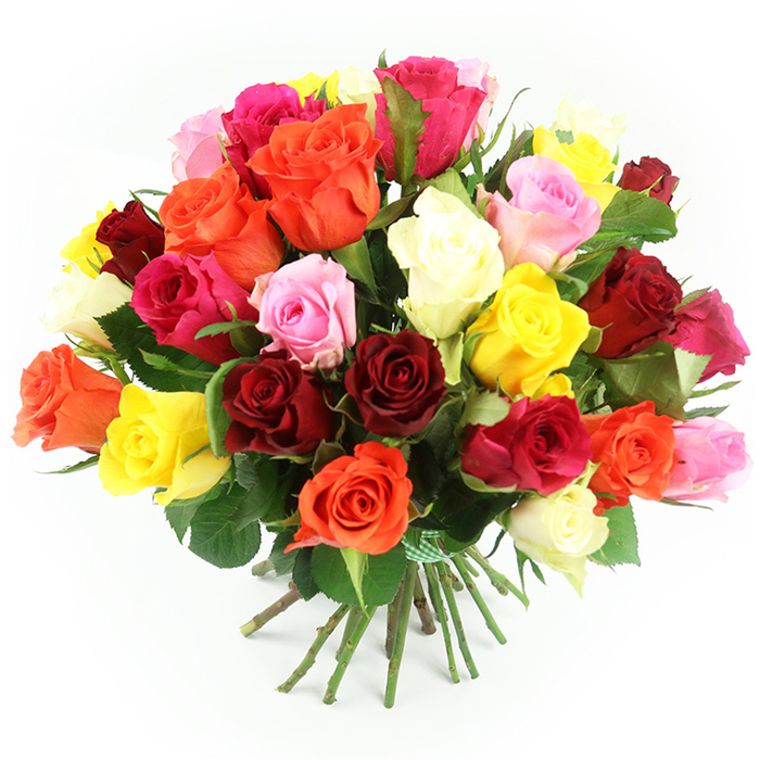 A richly coloured bouquet of roses is captured in sharp focus against a clean white background, giving the arrangement a gallery-like presence. The bouquet is hand-tied and generously full, composed of roughly thirty to forty roses arranged into a rounded, dome-shaped cluster that appears both abundant and carefully balanced. The colours span the full spectrum of classic rose shades: deep crimson and ruby reds, smouldering burgundy, playful fuchsia, gentle pastel pink, sunny yellow, warm orange, and mellow cream or ivory. Rather than being separated into strict colour zones, these hues are scattered and interwoven, lending the bouquet a dynamic, almost musical rhythm. Some roses are wide open, their layers of petals forming plush spirals that seem soft to the touch, while others are in earlier stages of bloom, creating contrast in size and texture. Between the flowers, the occasional dark green leaf peeks out, adding depth and framing the brighter tones. Below the mass of petals, straight green stems are drawn smoothly together and tied tightly with a green-and-white gingham ribbon, the small check pattern suggesting a familiar, comforting style you might find at a beloved neighbourhood florist near Finsbury. The stems extend beyond the knot and fan slightly where they meet the white surface, reinforcing the natural, hand-tied feel. The lighting is bright and even, free of harsh shadows, enhancing the vibrancy and freshness of every bloom as though the bouquet has just been prepared for same-day delivery to a home near Clerkenwell or a cosy flat off Pentonville Road. The overall impression is of warmth, festivity, and heartfelt sentiment, a classic rose gift that suits birthdays, anniversaries, or simply sending love.