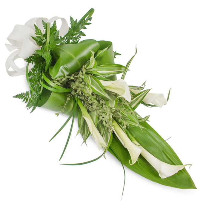 A refined, elongated bouquet photographed on a clean white field, the entire composition set on a diagonal from top-left to bottom-right to emphasise its linear sophistication. Creamy white Calla Lilies are the principal feature: their sleek, waxy trumpets create an elegant sequence along the right-hand line, suggesting purity and calm. Supporting foliage is abundant and carefully selected for contrast - large, deep emerald leaves form a folded, supportive base with one leaf prominently backing the lower right and another artistically curled around the upper left. Interspersed variegated leaves with crisp green-and-white striping lift the mid-area visually, while tender fern fronds peek out to add filigree texture. Little sprays of pale green, almost frothy herbaceous foliage nestle between stems for softness, and a few long, grass-like blades arc out to contribute graceful motion. A substantial off-white bow crafted from a woven, linen-like fabric secures the upper left, its natural texture balancing the lilies' smooth surfaces. The studio light is soft, revealing subtle shadows that model the lilies' curves and make the greens glow; the overall impression is one of elegant restraint and respectful beauty. This arrangement suits intimate ceremonies, refined sympathy offerings, or contemporary weddings, and it's the kind of composition a Finsbury florist might recommend for delivery to a nearby church or quiet home on Clerkenwell Road when a calm, tasteful presence is desired.