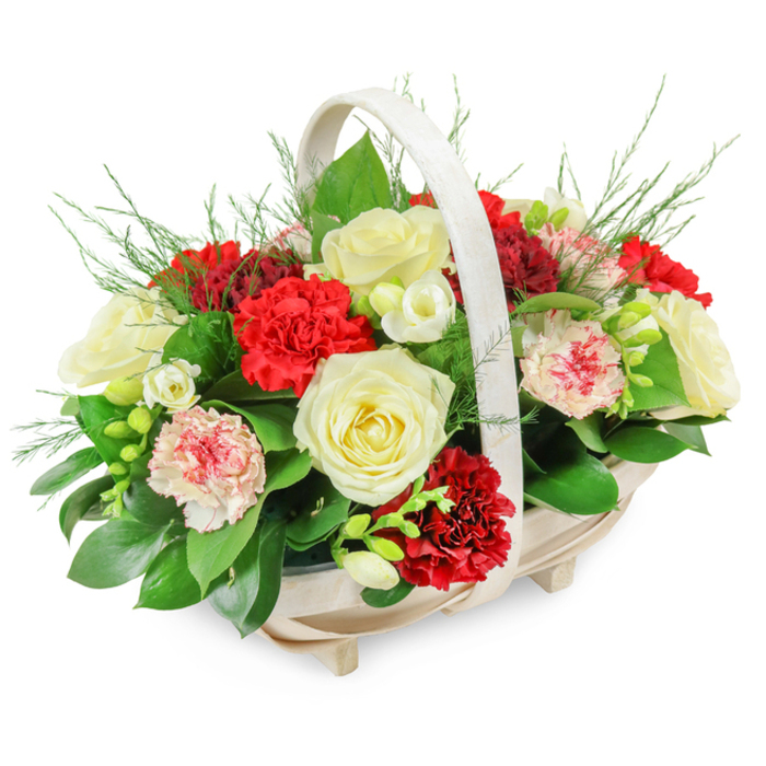 A graceful funeral flower basket, photographed against a clear white background, captures the gentle balance between sorrow and love often felt at services across Finsbury and nearby Islington. The container is a light-toned wooden basket with an oblong shape, its slender slats arranged in soft curves and resting on four small feet, lending a slightly elevated, composed profile. An arched handle in matching pale wood rises over the arrangement like a protective frame, suggesting something carried with respect into a chapel or crematorium. Inside this subtle structure, the flowers are gathered into a full, rounded dome, overflowing just slightly beyond the rim to express generosity of feeling. Dominating the piece are large, creamy white roses in full bloom, their velvety petals unfurling in gentle spirals that signify purity, grace, and remembrance. Around them, rich red carnations, tightly packed and luxuriantly ruffled, create areas of deeper colour and texture that speak of enduring love and devotion. Interwoven through the main blooms are softer pink carnations and bi-coloured varieties with white petals edged in red, adding nuance to the palette and softening the transition between light and dark. Scattered among these larger flowers are clusters of delicate, white freesia-like blossoms, their slender stems and bell-shaped florets lending an airy brightness and touch of innocence. The arrangement is rooted in a lush mass of dark green foliage-broad, glossy leaves fan outward at the base, embracing the flowers, while fine, feathery fern or asparagus greenery lifts the eye upward and outward. The overall impression is one of quiet elegance and deep care, the sort of thoughtful tribute Finsbury Flowers might prepare for a funeral or memorial gathering, offering solace, beauty, and a peaceful focal point for grief and remembrance.