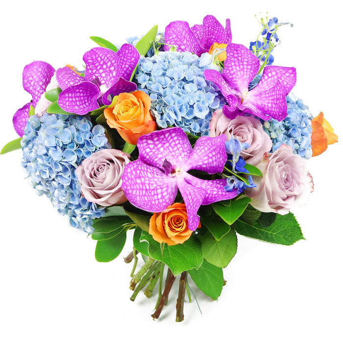 A sophisticated hand-tied bouquet is captured against a stark white background, making the interplay of pinks, blues, and greens appear particularly vivid. The design is anchored by striking Vanda orchids, each bloom showcasing broad petals in intense magenta and purple shades, intricately freckled with small white spots that form a net-like, reticulated pattern. These orchids are nestled throughout a generous bed of blue hydrangeas, whose rounded, cloudlike heads are densely packed with tiny florets. The hydrangeas' soft, sky-blue colour suggests calm and serenity, perhaps echoing the peaceful atmosphere of a quiet morning around Finsbury, and it provides a cool counterpoint to the warmer tones in the bouquet. Threaded through this base are roses in two complementary colour groups: vibrant orange blooms, whose spiralled petals open with a sense of cheer and optimism, and muted lavender-grey or dusty mauve roses that bring a more refined, romantic note. Together, they create a harmonious balance of energy and softness. Slender spikes of deeper blue accent flowers, reminiscent of delphiniums, emerge subtly from within the arrangement, adding height, rhythm, and a slightly more natural, meadow-inspired texture. Framing the entire bouquet is a ring of lush green foliage, made up of broad, glossy leaves that enhance the brightness of the blooms while grounding the design in fresh, living greenery. The stems are visible at the bottom, expertly aligned and tightly bound by hand, ready to be placed directly into a favourite vase on a Finsbury dining table or office reception desk. This bouquet radiates polished elegance with a hint of drama, ideal for marking special occasions, thanking a host after a dinner near Exmouth Market, or delivering a touch of luxury to a city apartment.