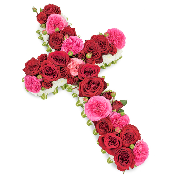 This image shows a beautifully composed funeral flower cross placed against a bright white background, its sacred outline fully cloaked in roses and delicate filler blooms. The central section and arms of the cross are heavily adorned with large, fully opened dark red roses, their velvety petals curling outwards to create a cushioned, almost sculpted surface that feels deep and reassuring. Interwoven throughout are clusters of fuchsia pink roses, possibly garden or spray varieties, whose looser, frilled petals introduce a gentle contrast and lend the tribute a warmer, more intimate tone. Here and there, smaller rosebuds in coordinating shades of red and pink emerge between the larger flowers, adding layers of texture and suggesting the continuing presence of cherished memories. Surrounding the entire cross is a fine border of miniature white flowers, likely spray chrysanthemums, small carnations, or gypsophila, which forms a soft, cloudlike frame that highlights the silhouette and balances the stronger colours at the centre. Occasional glimpses of slender green foliage and subtle ribbon work beneath the blooms hint at the sturdy base and professional craftsmanship behind the design. The lighting is clean and even, casting no harsh shadows and allowing the rich reds, vivid pinks, and pure whites to stand out clearly. Created as a respectful tribute for families in Finsbury, this floral cross is well suited for display beside the coffin, at the front of the church, or as a graveside adornment, offering a serene visual expression of faith, remembrance, and enduring affection during a time of loss.