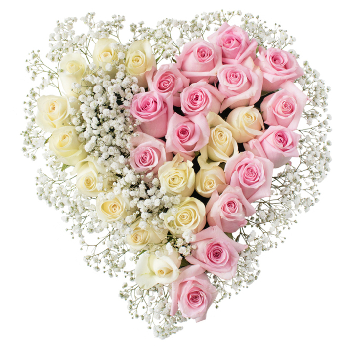 A lush, heart-shaped arrangement of roses and baby's breath is shown against a pure white background, the simplicity of the setting directing all attention to the tribute's refined detail. The heart itself is full and symmetrical, with a perfectly straight line running down the middle to divide it into two distinct halves. On the left side, a generous cluster of creamy white and light yellow roses is packed tightly together, creating a soft, cushion-like surface of petals. Each rose is fresh and open, with gently curved layers that seem to glow against the white backdrop, suggesting peace, gratitude, and cherished memories. On the right, medium pink roses form a mirror image in texture and fullness, their warm hue adding a tender note of affection and remembrance, like the comforting atmosphere of a quiet corner near Finsbury's historic streets and nearby Islington. Threaded through both colour fields, and especially prominent at the edges and along the central divide, are abundant sprays of tiny snow-white baby's breath. These miniature blossoms create a delicate, cloud-like border all around the heart and soften any sharp transition between the two colours, lending the design a dreamy, almost ethereal quality. The lighting is soft and even, giving a natural sheen to each petal and allowing you to almost feel the velvety surface beneath your fingertips. This heart-shaped floral composition feels particularly suited as a funeral or memorial tribute in the Finsbury area, perhaps placed beside a casket or memorial table as a symbol of a life lived with love. It speaks gently of unity, balance, and the intertwining of joy and sorrow.