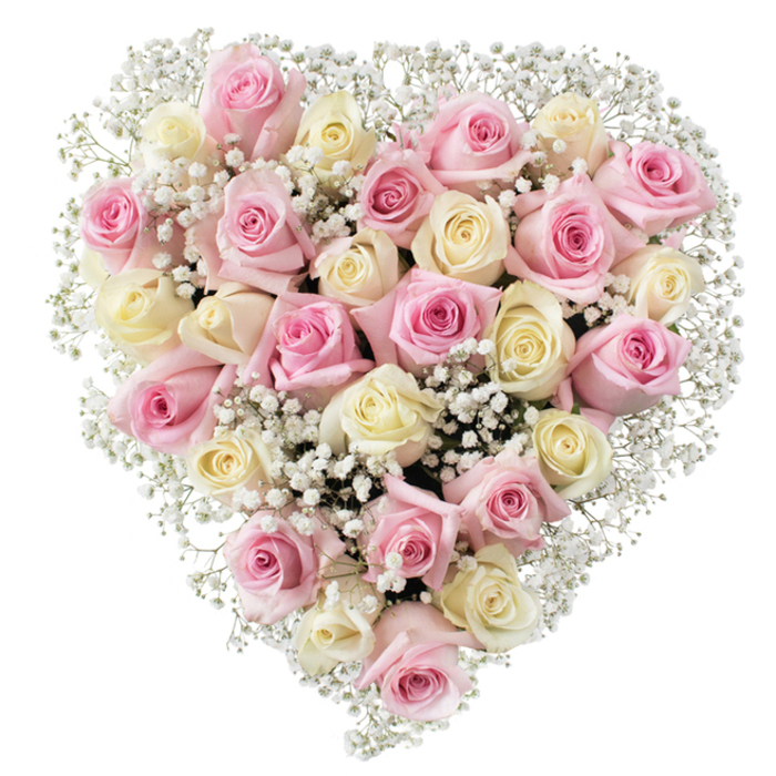 Meticulously composed by the skilled hands of a Finsbury florist, this radiant heart-shaped floral tribute channels both artistry and deep emotion. The centerpiece features approximately thirty-five roses in hues of blush pink and creamy white-some tinged with a suggestion of pale yellow-each carefully chosen for their lush texture and graceful form. Roses at various stages of bloom convey a sense of natural progression, while delicate clusters of airy baby's breath, interwoven throughout, provide lightness and an almost celestial quality to the design. Presented on a fresh white backdrop, the bouquet is lit so that every nuance of color and structure is celebrated. Its symmetrical heart shape makes the arrangement a poetic symbol of love and remembrance, serving as a fitting choice for intimate memorial gatherings at Finsbury's historic churches or warm gestures of gratitude delivered to loved ones nearby. The bouquet's gentle color palette and serene mood reflect the enduring care and refined style that have become hallmarks of local floristry in and around Finsbury.