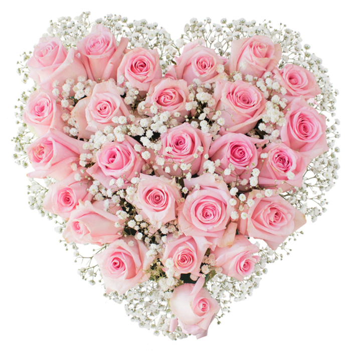 From a florist's bench in the heart of Finsbury, this heart-shaped floral composition reads like a handwritten love note rendered in petals. Approximately two to three dozen soft pink roses have been set tight against one another to form a lush, velvety surface, each bloom chosen for its harmonious pastel tone and stage of opening - some snug and dome-shaped, others revealing their inner spiral with the shy confidence of a day-old bloom. Scattered throughout are countless sprays of white baby's breath (Gypsophila), whose tiny white dots catch the light and give the heart an ethereal, cloud-like softness that lifts the composition from the stark white backdrop. The lighting is clear and bright, flattering the satin texture of the petals and casting small, gentle shadows that delineate each rose without breaking the unity of the heart shape. As a local touch, we imagine this piece resting on a wooden table in Finsbury Square or being placed within a wedding venue off Rosebery Avenue, its scent faint and classic - the warm, green sweetness of fresh roses with an underlying powdery note from the gypsophila. Prepared with the careful hand and quiet attention familiar to teams at Finsbury Flowers, the arrangement is suitable for romantic celebrations, anniversaries, or as a refined sympathy tribute, and it travels well for local delivery across Finsbury and neighbouring Islington. It's a composition that feels both ceremonious and intimately personal, crafted to express sustained affection with understated elegance.
