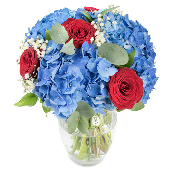 This expertly composed floral arrangement is displayed in a simple, transparent glass vase with a gently rounded base and a tapering mouth, photographed against a white background that showcases colour and form. Dominating the design are abundant, rounded clusters of vivid blue hydrangeas-each cluster made of countless small petals that create a plush, cloud-like silhouette-while striking red roses with velvety, tightly furled petals are artfully interspersed to provide a bold, romantic contrast. Delicate sprays of white baby's breath punctuate the bouquet, adding an ethereal lightness that softens the strong colours and gives the eye subtle points of rest. Muted green eucalyptus leaves, with their familiar oval shapes and silvery tone, weave through the blooms, contributing both visual depth and a gentle herbal scent that lifts the arrangement's overall fragrance. The clear vase reveals the green stems underwater, a reassuring cue of freshness, and the bright, natural lighting accents petal texture and colour saturation. The bouquet carries an optimistic, celebratory feeling-ideal as a centerpiece for a gathering on a sunny afternoon in a Finsbury apartment near Finsbury Square or as a heartfelt gift arriving to a neighbour on City Road. It communicates romance, appreciation, and a quietly patriotic palette, crafted with confident floral technique to brighten interiors and mark special moments.