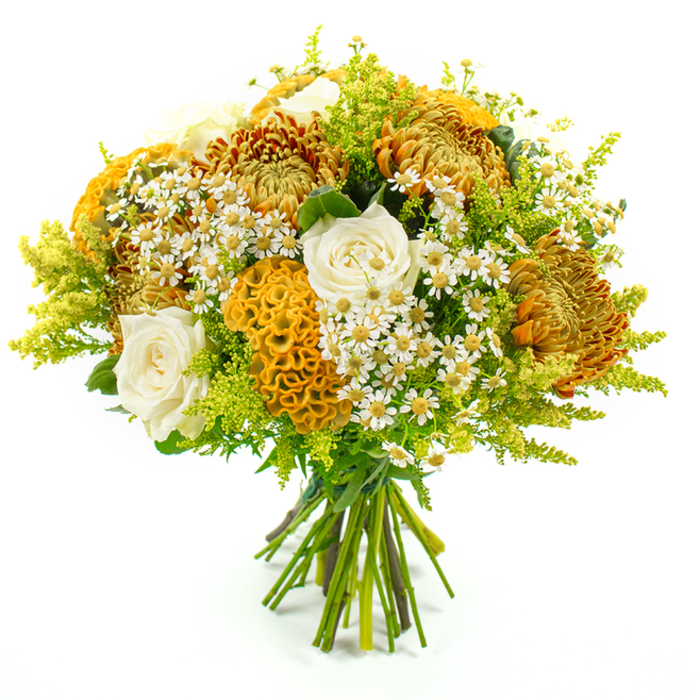A full, hand-tied bouquet stands proudly against a crisp white background, its palette of warm golds, soft creams, and lively greens echoing the subtle charm of Finsbury's mix of old and new. At the heart of the design, large chrysanthemums in tones of deep golden orange, warm rust, and honey yellow create a sense of abundance, their many fine petals spiking, curling, and layering into intricate textures. Between these statement blooms, creamy white roses are carefully placed, each bud opening into a symmetrical rosette of smooth petals that provide a restful contrast to the more dynamic chrysanthemum forms. Woven through the arrangement are several standout celosia flowers in bold yellow-orange, their velvety, undulating crests folded into brain-like, coral-style shapes that lend a slightly whimsical, artistic note. To keep the bouquet light and approachable, clusters of delicate white daisies with vibrant yellow centers are dotted throughout, evoking the feel of freshly picked meadow flowers and bringing a playful brightness. The outer edges and gaps are filled with airy sprigs of lime-green solidago and lush greenery, adding structure, movement, and a fresh, grassy scent that suggests a bouquet recently gathered from a garden courtyard rather than a shop shelf. The visible stems are drawn neatly together and wrapped in green florist's tape, a hallmark of a professionally crafted, ready-to-place arrangement. Ideal for same-day delivery around Finsbury, Clerkenwell, and nearby neighbourhoods, this bouquet conjures feelings of warmth and welcome, making it a thoughtful choice for autumn celebrations, dinner parties, or simply bringing a little seasonal radiance into a compact city flat.