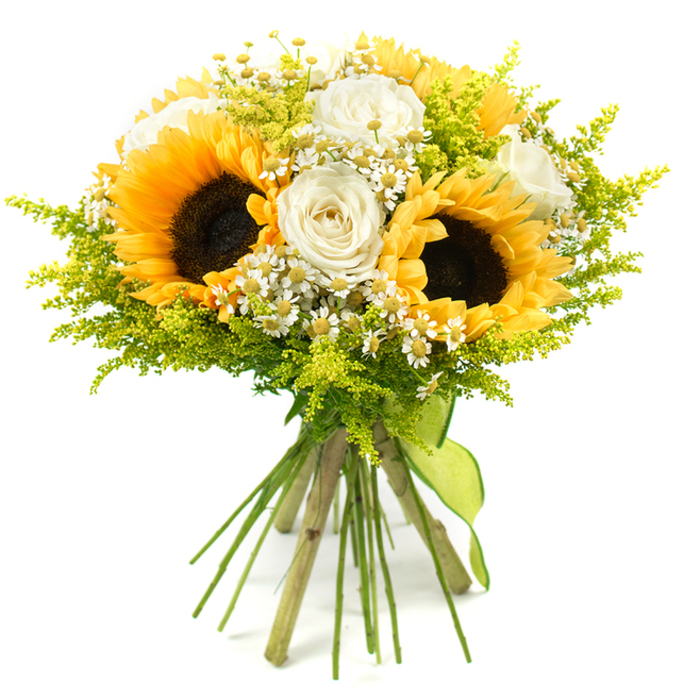 Against a pristine white background, this bouquet stands out with the kind of bright, open energy that feels right at home in Finsbury's mix of historic streets and modern apartments. At the centre, three large sunflowers dominate, their deep, seed-rich centres a velvety dark brown that fades gently outward into the warm gold of their petals. The petals extend in layered rings, some slightly curved and others more straight, catching the light to create subtle variations in tone that suggest movement and life. Surrounding these sunny focal blooms, white roses provide a calm, refined counterbalance. Each rose is composed of tightly layered petals with a soft, creamy-white colour touched by faint ivory, forming neat spirals that feel both structured and tender, echoing the timeless appeal of classic floral design. Interlaced throughout the bouquet are numerous miniature, white, daisy-like flowers with bright yellow centres. They appear in small, loose clusters, evoking chamomile or feverfew, and their fine petals and lighter scale bring an airy, almost whispering texture, reminiscent of wildflowers seen in city gardens or planters along Finsbury pavements. Encasing everything is a lush spray of lime and chartreuse-green foliage, likely solidago or a similar filler, with its slender stems and many tiny buds creating a soft, feathery halo around the main flowers. This greenery swells the bouquet into a generous, rounded form without making it heavy, adding a garden-picked authenticity that feels welcoming. The stems, trimmed neatly and left visible, are bound together with a simple lime-green ribbon tied in an understated knot, the loose ends giving a relaxed, hand-crafted finish. The combination of radiant yellows, gentle whites, and vivid greens suggests joy, gratitude, and optimism-perfect for marking a birthday near Farringdon, saying thank you after an evening on St John Street, or bringing a burst of sunshine to a Finsbury office desk.