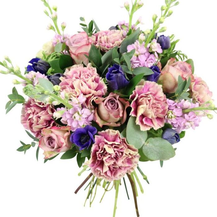 Photographed against a plain white backdrop, this hand-tied bouquet appears both structured and soft, expertly balanced by a florist who understands how colour and texture work together. Dominating the centre are sumptuous garden roses in blush pink, dusty mauve, and antique rose, each layered petal contributing to a full, spiralled bloom that immediately evokes romance. Intertwined with them, ruffled carnations bring volume and a delightful ombre effect: their centres are creamy beige and pale blush, gradually darkening to rose, fuchsia, and plum-pink at the edges, adding depth and a sense of gentle movement. Rich accents of deep indigo and royal blue punctuate the arrangement, some flowers held in tight bud-like form reminiscent of tulips or closed anemones, while one open blue anemone with a dark, almost black centre stands out vividly near the lower front. Light, vertical accents come from lilac and pale lavender stock, their slender stems lined with multiple small blossoms that create a soft, airy feel without overwhelming the larger flowers. The bouquet is framed by a mix of foliage: lush dark green leaves, likely from the roses, and rounded, silvery-green eucalyptus that offer cool tones and a subtle suggestion of aromatic freshness. Neatly gathered stems extend below, clearly visible and bound, reinforcing that this is a handcrafted arrangement rather than a mass-produced product. The interplay of pinks, purples, blues, and greens gives the bouquet a refined, contemporary elegance, ideal for weddings, anniversaries, or stylish celebrations. It is the sort of arrangement one might send from a trusted Finsbury Flowers shop, delivering beauty to a townhouse near Amwell Street, a design studio by Old Street, or a chic apartment overlooking Finsbury Fields.
