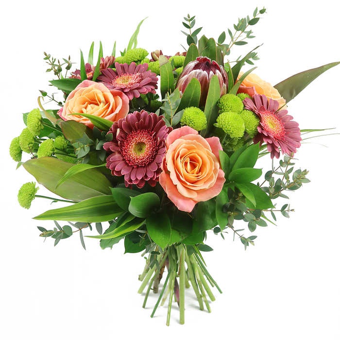 Set against a spotless white background, this hand-tied bouquet appears almost to float, its colours and textures brought into sharp focus the way they might look laid out in a calm Finsbury flower studio. Several luxurious roses open at the centre, their petals overlapping in soft spirals of peach, apricot, and salmon pink, with subtle gradients that deepen towards the core and lend a gentle, romantic warmth. Threaded between these classic blooms are striking gerbera daisies in tones of deep magenta and burgundy, their many slender petals radiating from contrasting centres that introduce a lively, dynamic rhythm to the design. Slightly elevated in the upper right, a magnificent King Protea becomes a natural focal point, its sturdy, artichoke-like bracts shaded in maroon and earthy reddish-brown, while the tips blush with a hint of pink, giving the bouquet a modern, almost sculptural quality well suited to the creative mix of homes and studios around Finsbury and Clerkenwell Road. Bright lime-green Santini chrysanthemums dot the arrangement with joyful pom-pom shapes, their zesty colour echoing the vibrancy of local markets and nearby green corners off Pentonville Road. Around this rich mix of flowers, a frame of foliage brings structure and depth: broad, glossy leaves forming a solid base, narrow, sword-like leaves drawing the eye upward, and delicate sprays of eucalyptus with rounded, silvery-green leaves lending both texture and a sense of movement. The stems are clearly visible and tightly bound at the bottom, confirming a freshly tied, professional bouquet ready to be delivered across Finsbury for celebrations, heartfelt thank-yous, comforting sympathy gestures, or simply to brighten a flat overlooking Myddelton Square.