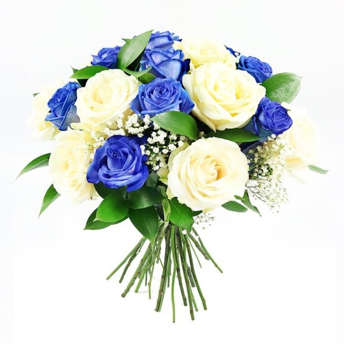 A hand-tied bouquet of roses is photographed against a flawless white backdrop, its carefully shaped, dome-like form giving it a poised and tranquil appearance. The arrangement is built around roughly equal numbers of deep blue and creamy ivory roses, each bloom placed with clear intention. The blue roses are particularly striking, their velvety petals saturated with rich sapphire and indigo tones, some blossoms fully open, others still slightly cupped, which lends the bouquet subtle movement and variation. In gentle contrast, the cream roses glow with a soft warmth, their petals smooth and delicately curved, opening in intricate spirals that invite the eye to linger on their centres. Threaded throughout are stems of white baby's breath, their tiny, cloud-like flowers adding airiness and soft texture between the more substantial roses. At the base and edges, dark green leaves, likely Ruscus or a similar foliage, peek out from beneath the blooms, creating a natural frame that hints at the freshness of flowers arranged the same day in a Finsbury workshop not far from the bustle of Old Street and Angel. The gathered stems are clearly visible below the domed crown of flowers, bound in a tidy bundle that underscores the bouquet's hand-crafted character and readiness for placement in a vase or as a tribute at a memorial service. Bright, even lighting reveals every fold and line of each petal and leaf, while the clean white background keeps the focus on the calm dialogue between blue, cream, and green. As a sympathy arrangement, this bouquet offers a serene and respectful way to honour a loved one, bringing a sense of quiet beauty and thoughtful remembrance to homes and gatherings across the Finsbury area.