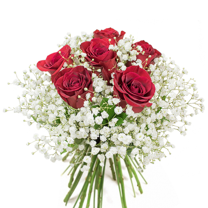 With an elegance inspired by Finsbury's quiet residential lanes, this thoughtfully composed bouquet places six sumptuous red roses at its core, each bloom edged in velvety, spiraled petals and radiant with passion. Nestling between the roses and extending beyond is a billowy surround of crisp white gypsophila, its multitude of tiny, star-like flowers providing a cloud-soft contrast to the intensity of the crimson blooms. The stems, trimmed and bundled with practiced hands, preserve a sense of freshness and immediacy-hinting at flowers still dew-kissed from early morning in Exmouth Market. The clean white backdrop invokes both modern simplicity and urban sophistication, making the arrangement's bold reds and gentle whites the unequivocal stars. Every visual detail, from the curves of each petal to the frothy abundance of the baby's breath, reveals an expert's eye for harmony and tradition. This bouquet, ideal for anniversaries or heartfelt gestures within Islington and Finsbury, conveys more than mere beauty: it brings a whisper of local connection and quiet celebration, as if each flower carries a story from the heart of London's historic neighbourhoods. Its timeless appeal and subtle perfume create an atmosphere of warmth and emotional resonance in any setting along St. John Street or in the cozy cafes around Clerkenwell.