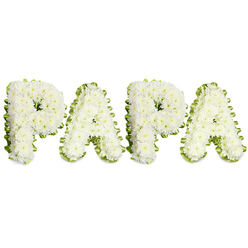 WHITE CHRYSANTHEMUMS PAPA TRIBUTE