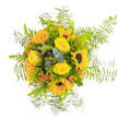 This bouquet captures the golden essence of a sunny Finsbury day, composed of brilliant yellow roses and bold sunflowers that radiate positivity. The sunflower's wide, bronze-centred faces seem to bask in imagined daylight, while clusters of yellow roses lend their velvety softness and gentle fragrance to the ensemble. Tucked between, small orange-red berries contribute bright, cheerful bursts reminiscent of the vibrant palettes found in Exmouth Market's flower displays. Wisps of green eucalyptus, paired with glossy leaves and delicate Asparagus fern fronds, add airy movement and depth, bringing to mind the leaf-dappled paths in Spa Fields Park. The arrangement is thoughtfully layered, inviting touch and admiration, with each flower anchoring the bouquet's mood of joyful celebration and shared warmth. Underneath it all, the faint scent of fresh greenery and honeyed petals weaves through the experience-a sensory reminder of local summer mornings. Whether delivered for a birthday or to simply light up a home, this bouquet encapsulates the community feel of Finsbury, offering a frame of sunshine and a gentle gesture of kindness from the heart of Islington.