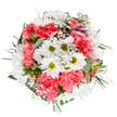 This elegant bouquet from Finsbury bursts with the promise of spring, its cheerful daisies and plush coral-pink carnations masterfully arranged to capture a sense of abundant joy. Set against a crisp white background, the central daisies shimmer, their snowy petals and vivid green eyes exuding purity and vivacity. The carnations, soft and ruffled, lend luxuriant texture and a warm blush throughout the bouquet. Wisps of delicate gypsophila float like gentle dreams among the blossoms, adding softness and fullness. Slender, streaked buds-likely alstroemeria-hide among the foliage, suggesting tomorrow's beauty. Underpinning everything, lush sage and eucalyptus greens add depth and gentle fragrance, while deeper emerald leaves subtly frame the circular form. This bouquet brings the character of Finsbury home, infusing spaces from Clerkenwell Road flats to Upper Street offices with tranquility and celebration. Crafted with care for any occasion-be it a birthday, heartfelt thanks, or to encourage a loved one-it's a floral gift that embodies hope and connection, available for swift, thoughtful delivery throughout the area.