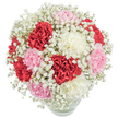 Like a gentle embrace on a spring morning in Finsbury, this bouquet glows with ruffled carnations in crimson, blush, and pearl white. The floral dome is crowned with airy tufts of baby's breath, which soften the bold hues and invite sunlight to dance between the petals. Cradled in a polished glass vase, the stems-green and vital-peek through the crystal-clear water, a subtle nod to the freshness Finsbury Flowers provides to the area near Exmouth Market and Angel. Bathed in bright, natural light, each bloom's luxurious texture and pastel brilliance are accentuated against the immaculate white background. This arrangement captures the emotional lift of a spontaneous celebration or a heartfelt thank you-making it a cherished choice for occasions as diverse as birthdays, anniversaries, or everyday appreciations. With each flower, the spirit of Finsbury's warmth and connection shines through, weaving memories into its fragrant embrace.