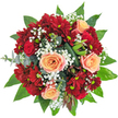 Bathed in gentle daylight, this vibrant bouquet exudes the warmth and creative charm familiar to those who know Finsbury's winding streets and vibrant community spaces. The focal roses, a peachy apricot edged delicately with pink, unfold gracefully among a garden of rich red spray chrysanthemums. Close beside them, deep red buds impart a sense of romance, balanced by clouds of dainty white gypsophila-evoking memories of peaceful afternoons in Finsbury's parks. Around the base, wide, lush green leaves cradle the arrangement in a glossy, serene frame, while silver-green eucalyptus introduces a soft, modern twist. Dark, artistically folded foliage and striking pods add texture and dimension, capturing the energy of the local flower scene. If you could touch the petals, they would be velvety and cool, yielding to the embrace of the foliage, while the air would carry a harmonious blend of sweet rose and fresh greens. This bouquet, assembled with the care and artistry that define local florists, is perfect for birthdays, thank you gifts, or simply bringing a sense of celebration into a Finsbury flat-offering a taste of natural beauty inspired by the neighbourhood's gardens and creative corners.
